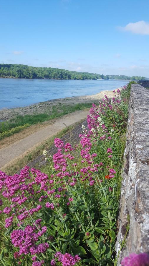 Le Cosy Loire Appart Apartment Les Rosiers Exterior foto